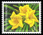 Yellow Oleander (Thevetia peruviana)