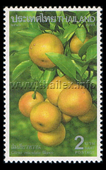 som khiaw wahn (Citrus reticulata, mandarin oranges)