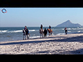 Hua Hin Beach- and Army Horses