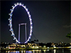 Singapore Flyer