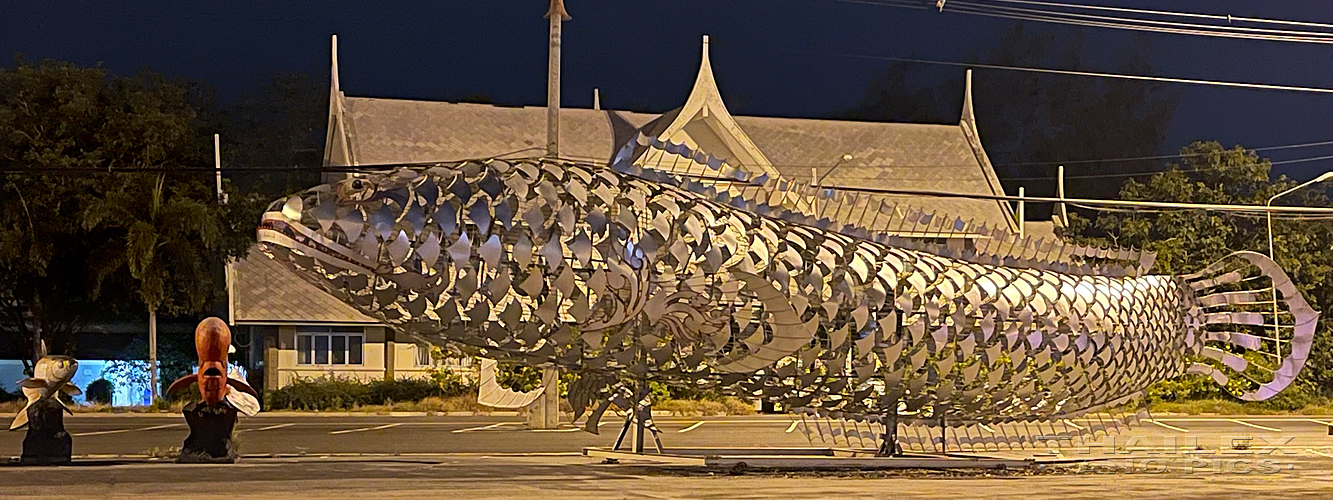 Giant Snakehead Fish, Singburi, Thailand