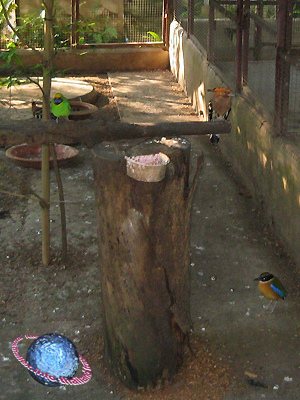 THAILEX - Thailand Travel Encyclopedia