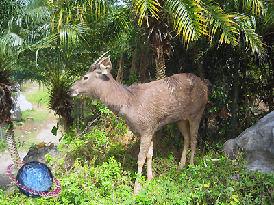 THAILEX - Thailand Travel Encyclopedia THAILEX - Thailand Travel Encyclopedia
