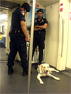 Bangkok Metro (MRT)