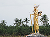 Buddha Statues Park