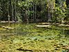 Emerald Pool and Blue Lagoon