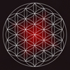 Flower of Life