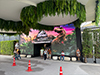 Jurassic World: The Experience