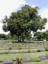 Don Rak war cemetery