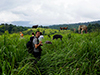 animals of Khao Yai NP