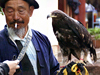 Lijiang birds of prey-pets