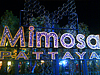 Mimosa Pattaya