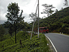 Nuwara Eliya tea plantations, Sri Lanka