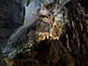 Phong Nha Cave