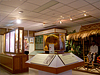 Siriraj Parasitology Museum