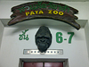 Pata Zoo