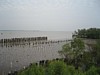 Chao Phraya Estuary