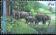 20th Anniversary of the Thailand-People's Republic of China Diplomatic Relations - Asian Elephants