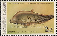60th Anniversary of the Fishery Department
