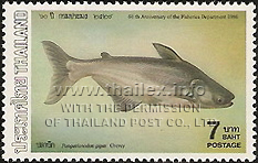 60th Anniversary of the Fishery Department