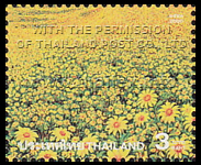 a field of Mexican Sunflowers on Mae U Ko at Khun Yuam in Mae Hong Son, during the Bua Thong Flower Blooming Season
