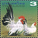 Bantam