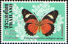 Butterflies - 2nd Series