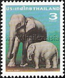 Thai elephants