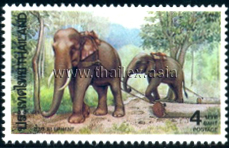 Elephants