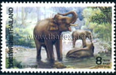 Elephants