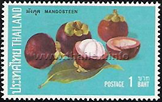 mangosteen