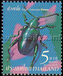 Frog-legged Leaf Beetle