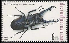 Giraffe Stag Beetle (Cladognathus giraffa)