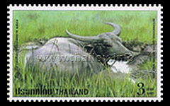 International Letter Writing Week - Water Buffalo