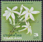 Jasminum bhumibolianum