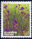 New Year 1995 - Biennial Flowers