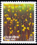 Utricularia bifida