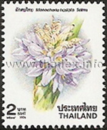 New Year 1997 - Beautiful and Useful Water Plants