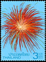 Fireworks (dokmai fai)