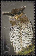Barred Eagle-owl