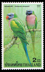 Thai Parrots