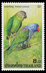 Psittinus cyanurus (Blue-rumped Parrot)