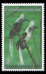 White-crowned Hornbill (Aceros/Berenicornis comatus)