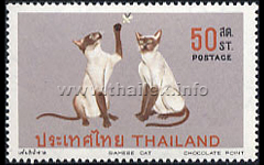 Siamese Cats