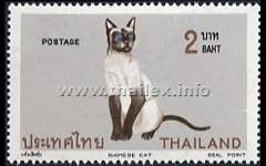 Siamese Cats