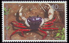 Regal Crab (Thaiphusa sirikit)