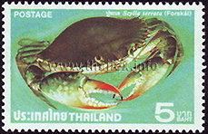 Thai Crabs (1st Series)