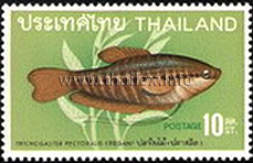 Thai Fish (2nd Series)