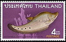 Thai Fish (2nd Series)