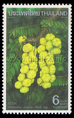 mayom (Phyllanthus distichus, gooseberries)